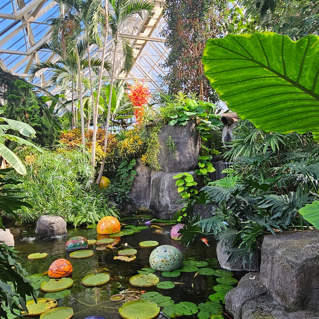 Blooms & Butterflies 3