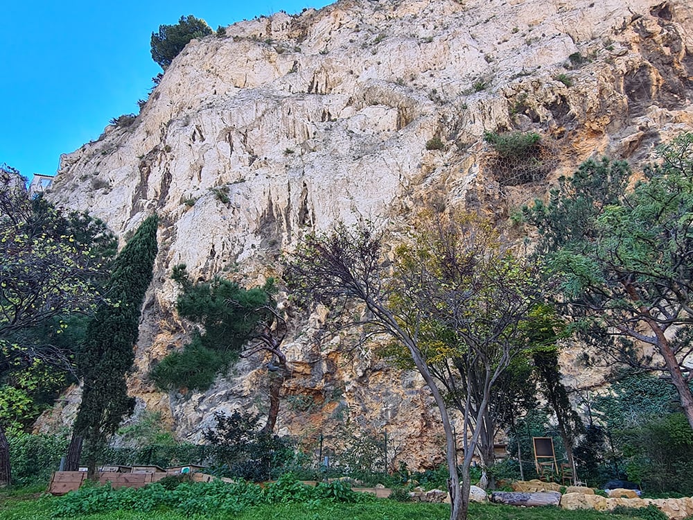 Anges Garden 2