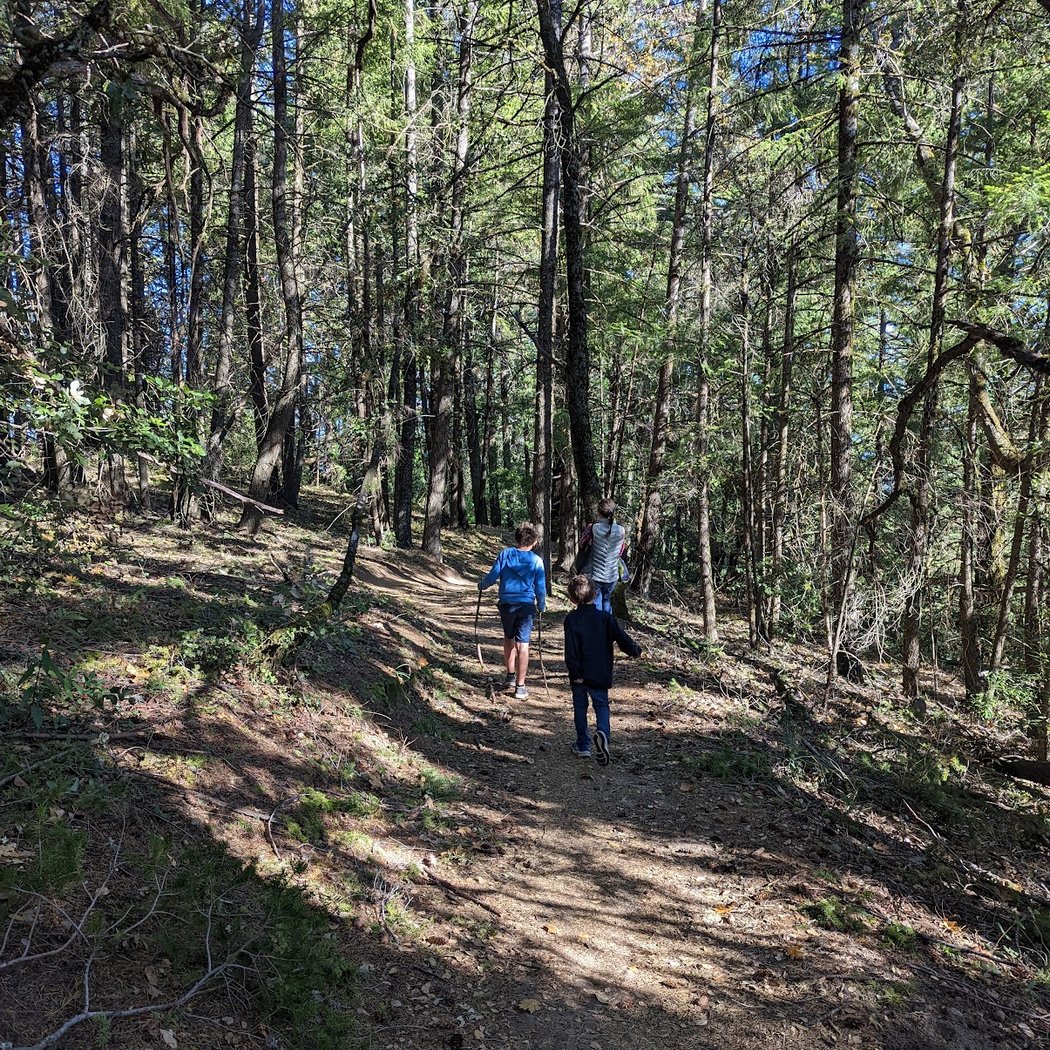 Sunnyvale Mountain Trailhead 3