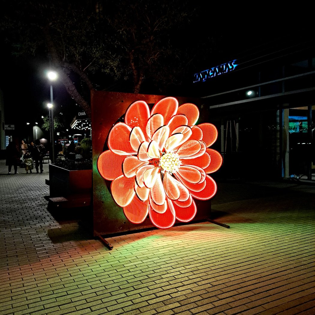 Napa Lighted Art Festival in January 2