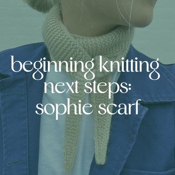 Beginning Knitting Next Steps: Sophie Scarf 1