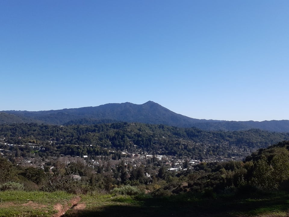 Boyd Memorial Park 3