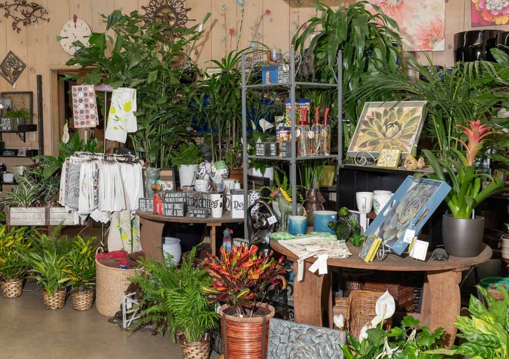McDonnell Nursery 3