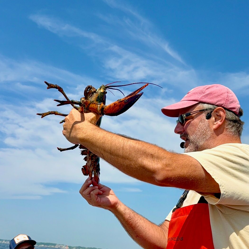 Rugosa Lobster Tours 1