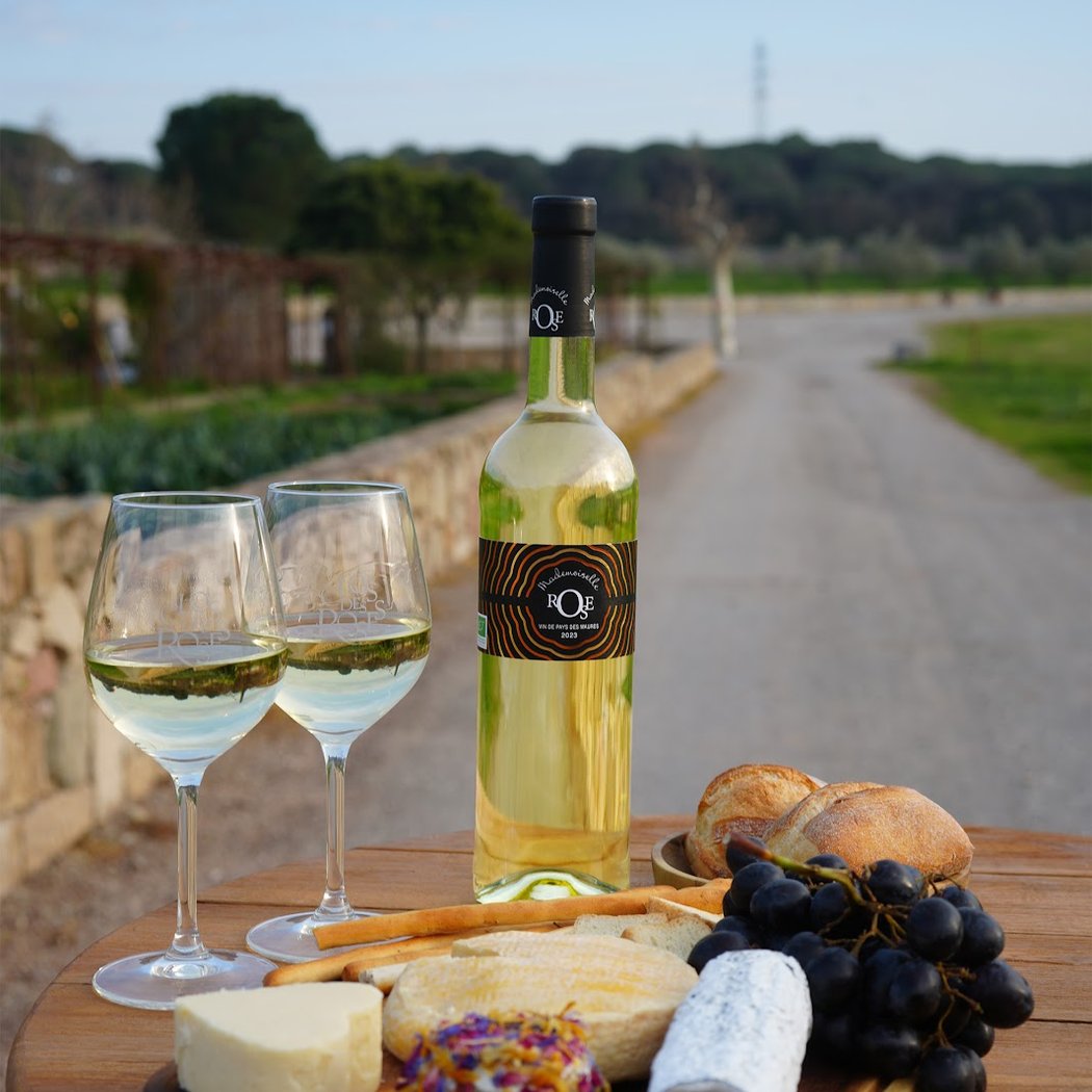 Clos des Roses vineyard 1