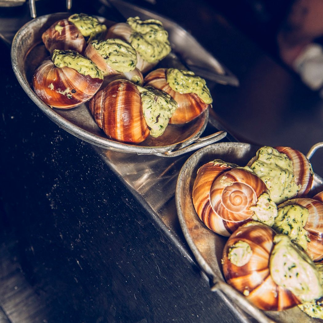 The Snail 3