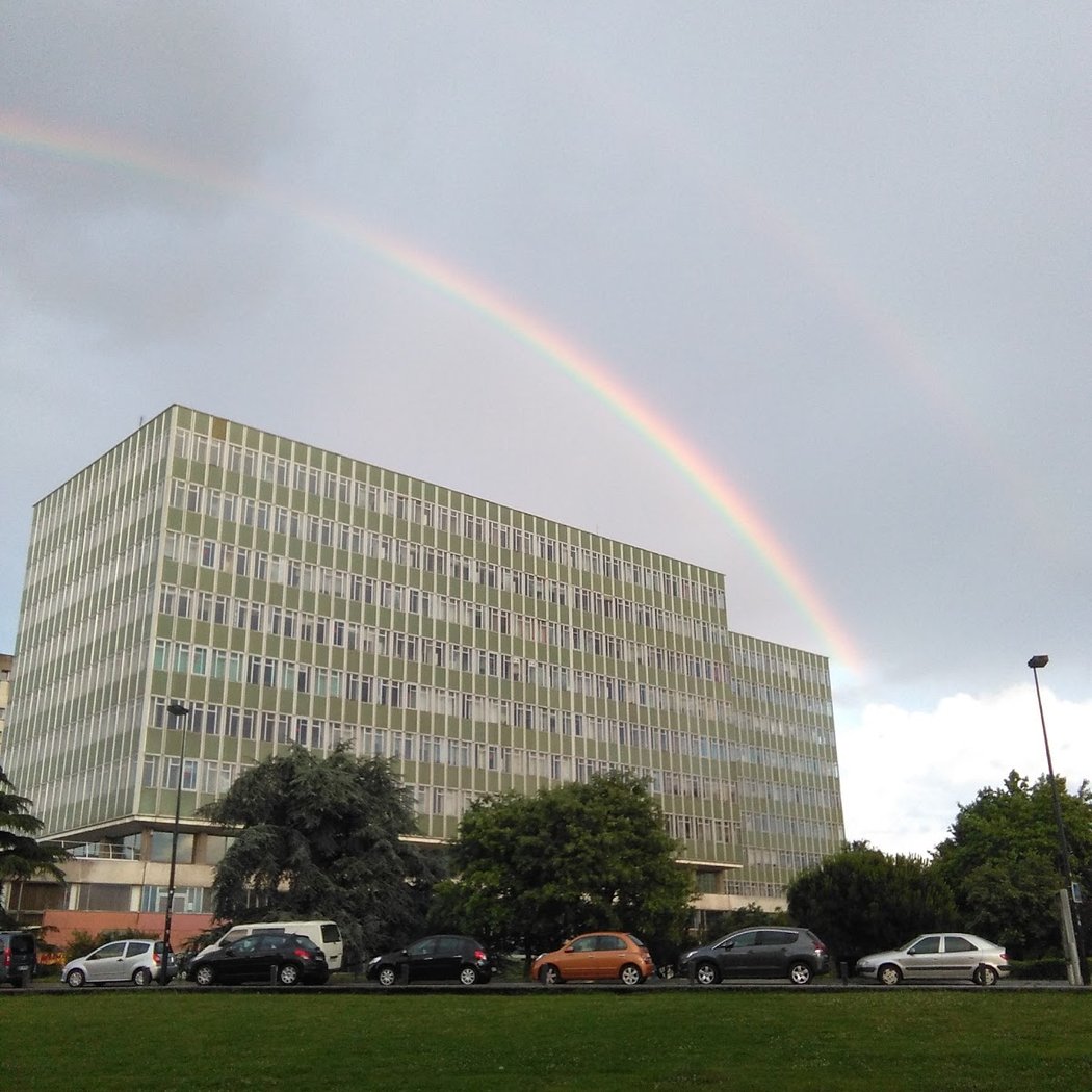 Nantes University Faculty of Medicine 1