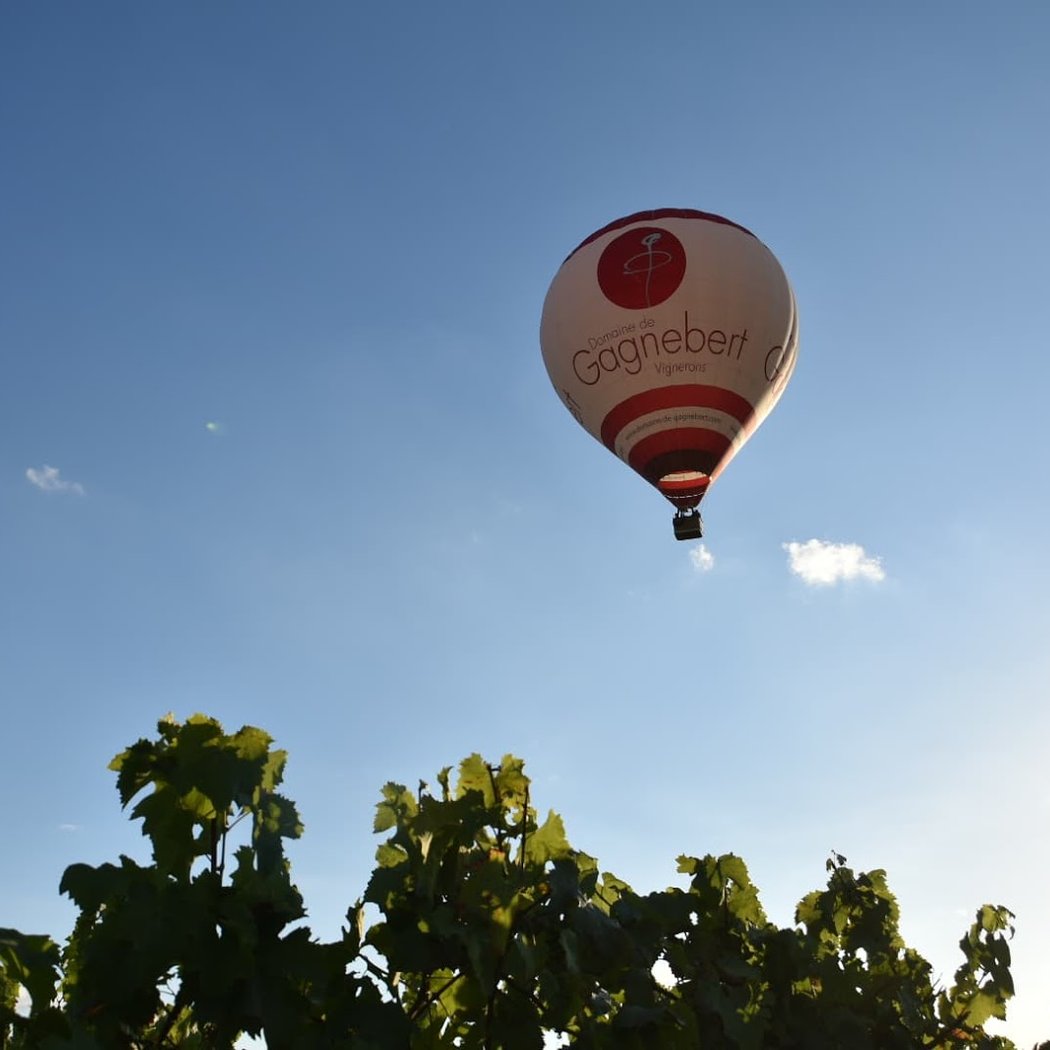 Domaine de Gagnebert, Moron (gaec) 3