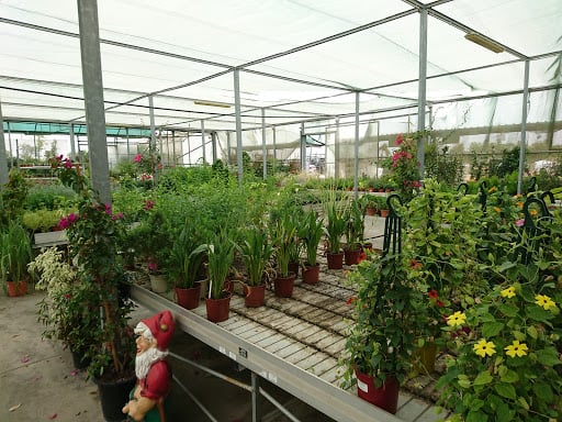 Viveros Valle Balbuena S.L. 2