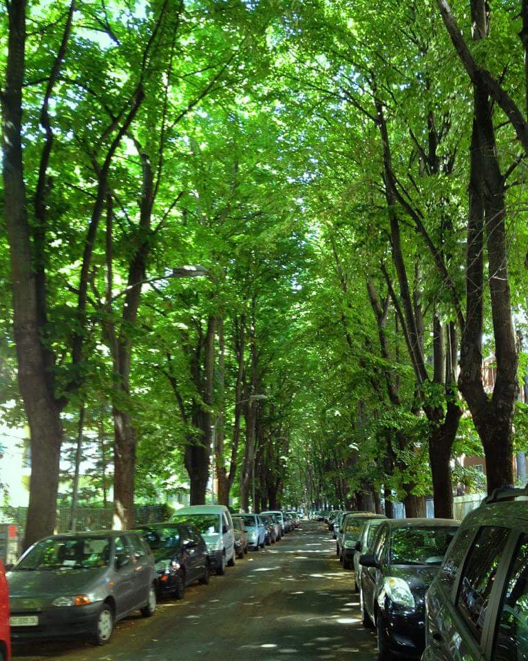 Via di Commodilla 1