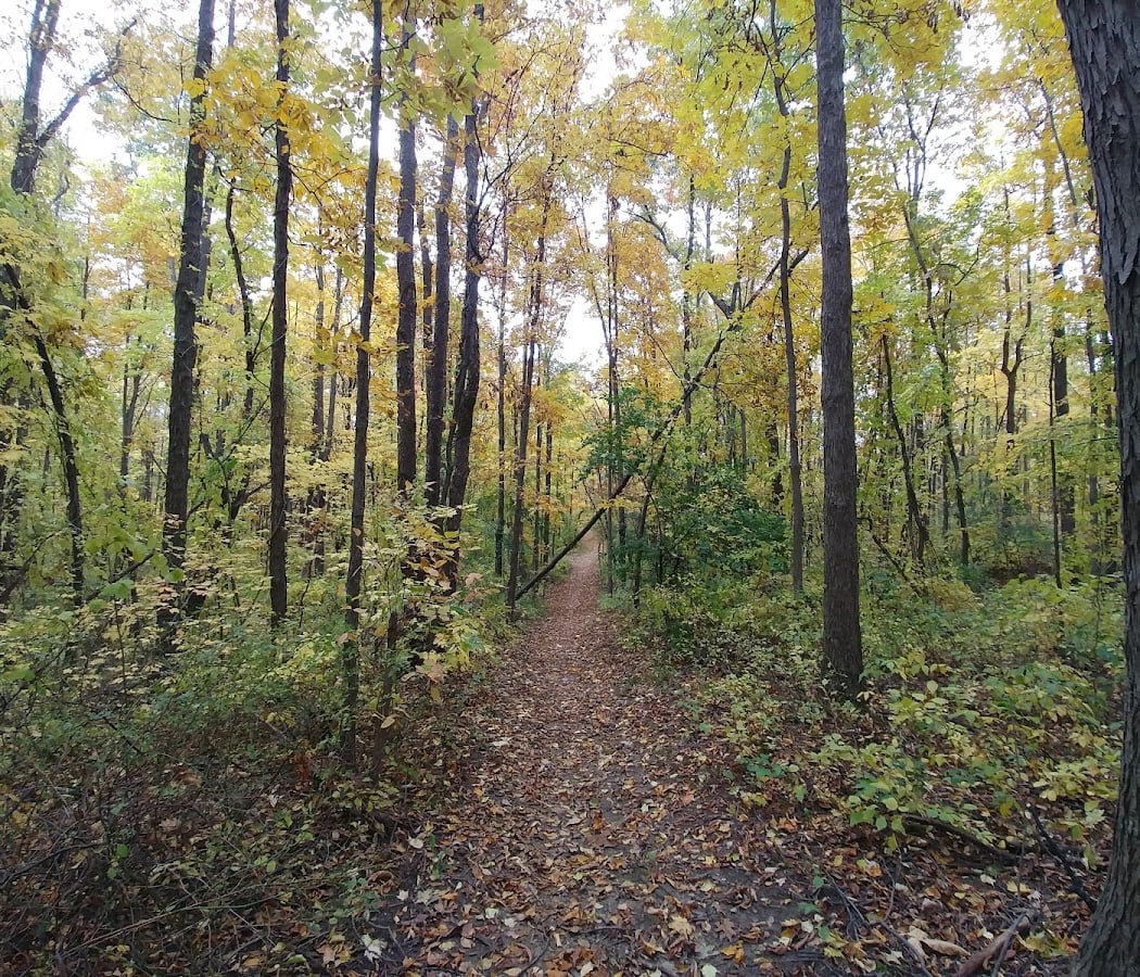 Highland Recreation Area 2