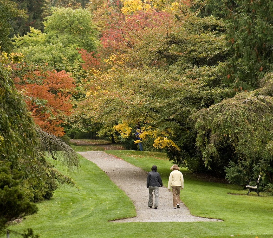 Washington Park Arboretum 4