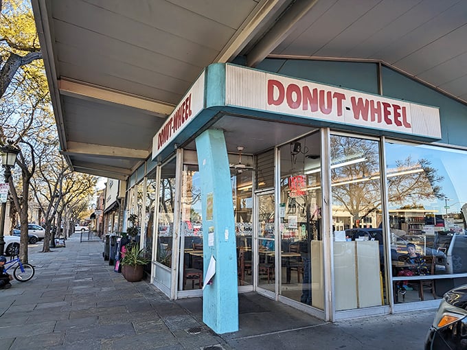 Donut Wheel 3