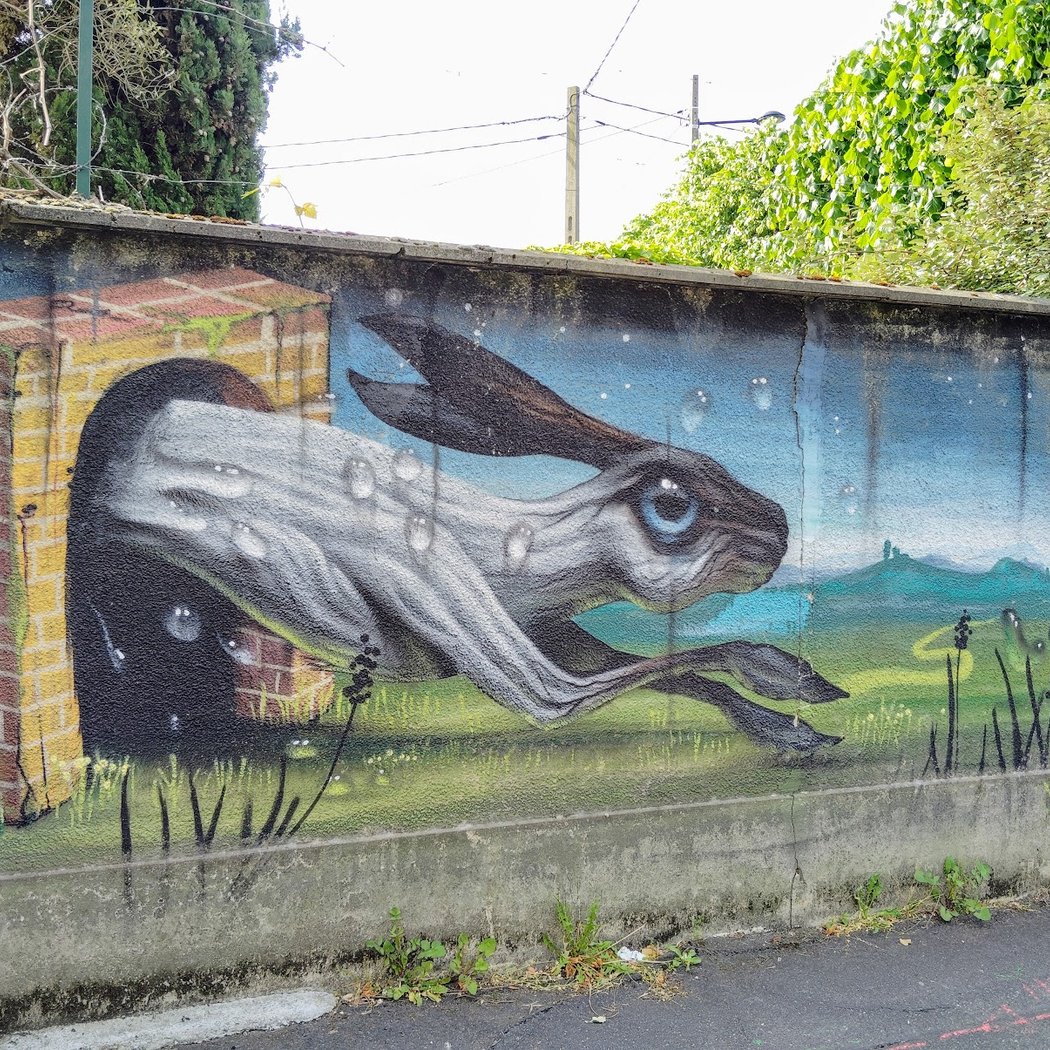 Street Art Veks Van Hillik : "Le lièvre" 1