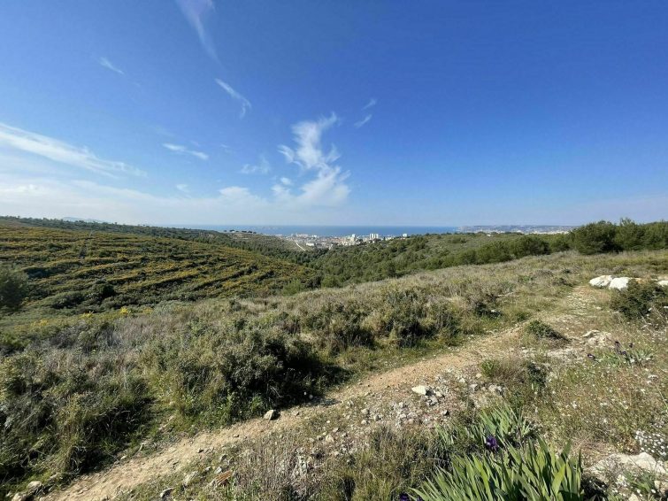 Vallon Dol 1