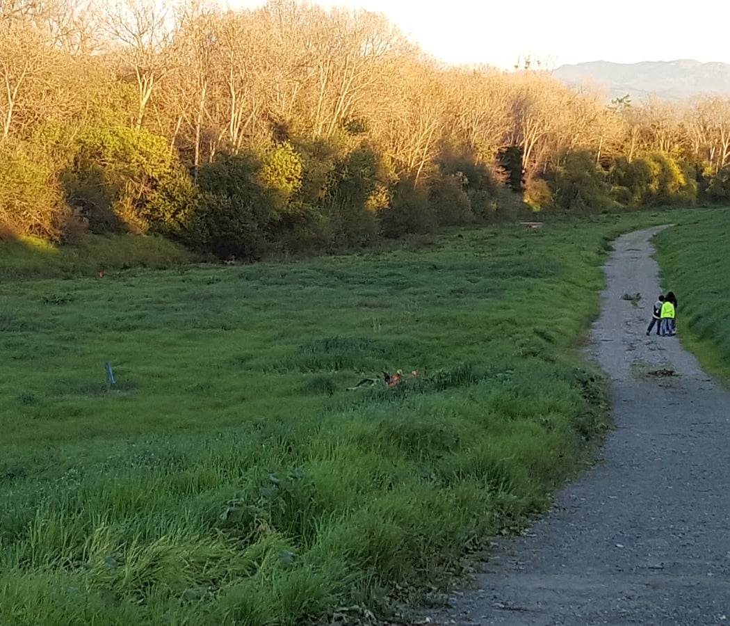 Coyote Creek Trail 2