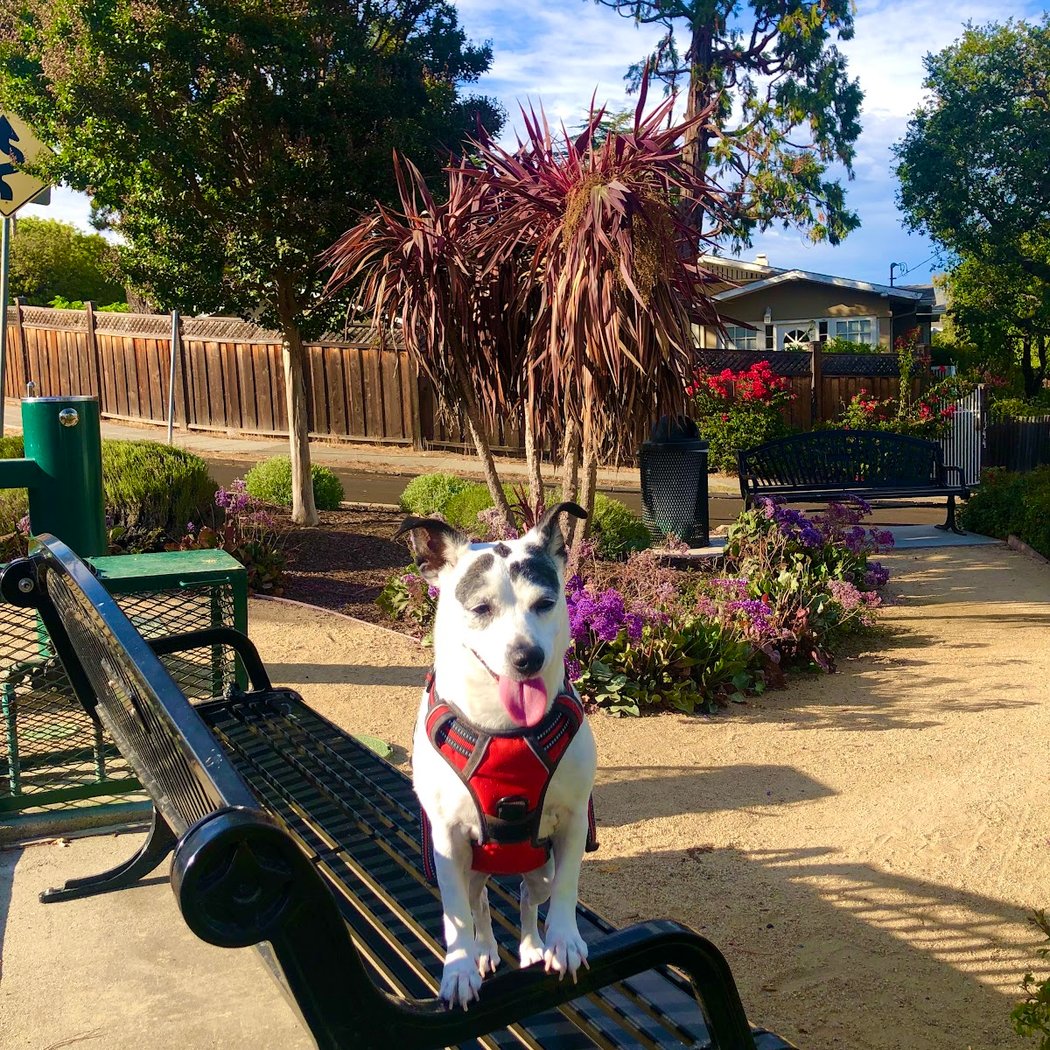 Rosek Park 1