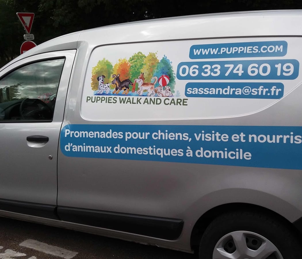 Puppies Walk and Care 3
