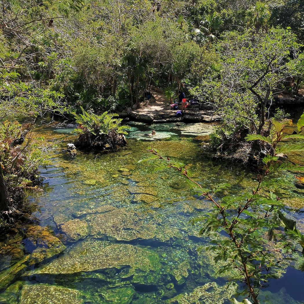 Cenote Azul 1