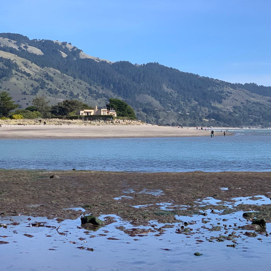Bolinas Beach 3