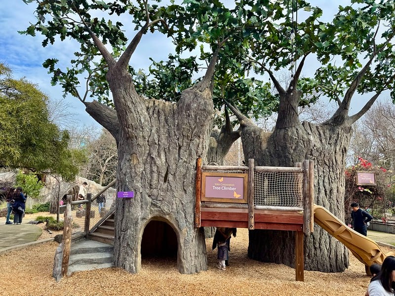 Bill's Backyard 3