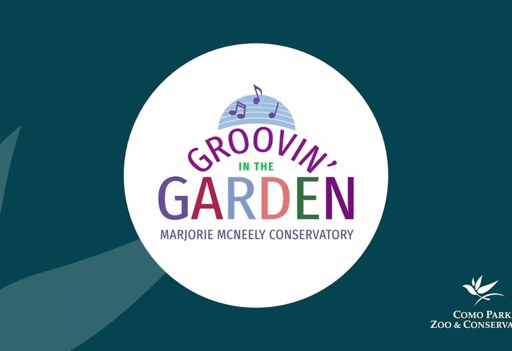 Groovin' In The Garden with J-Mo On The Beat & The J-Lighters