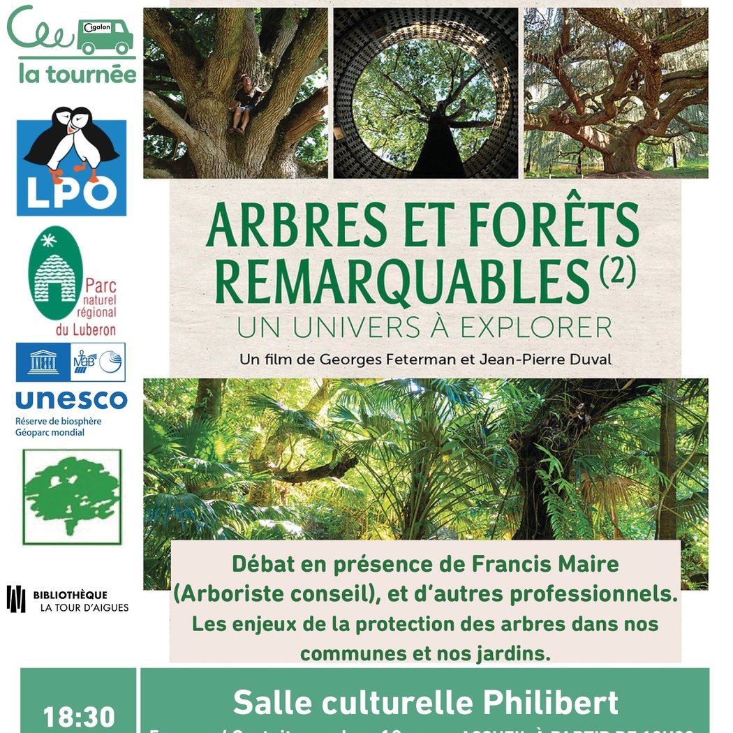 Arbres et Forêts Remarquables 1