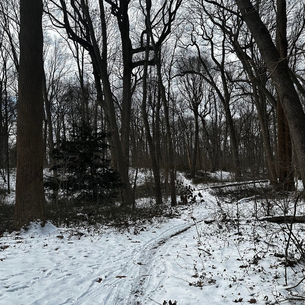 Extended Hikes with Urban Park Rangers 3