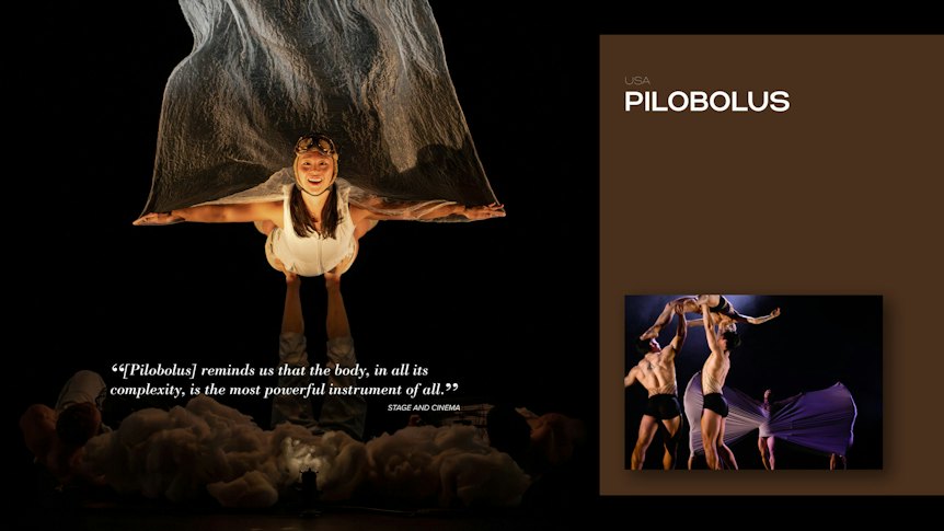 PILOBOLUS 1