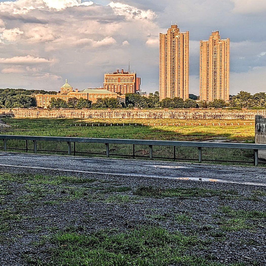 Tracey Towers 3
