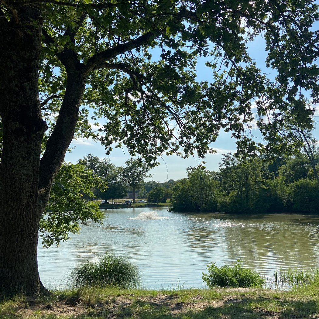 Festival Théâtre sur l'herbe 3