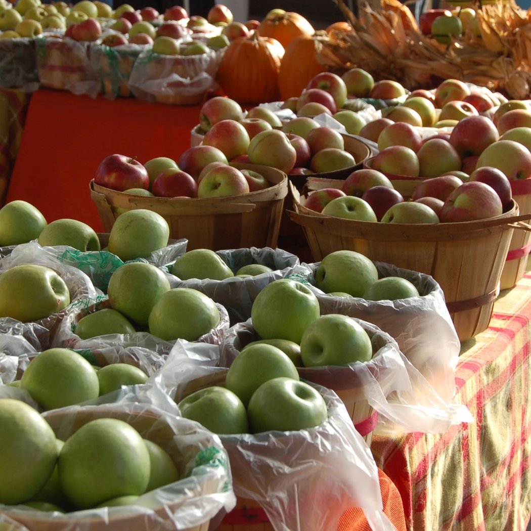 Fall Festival 3