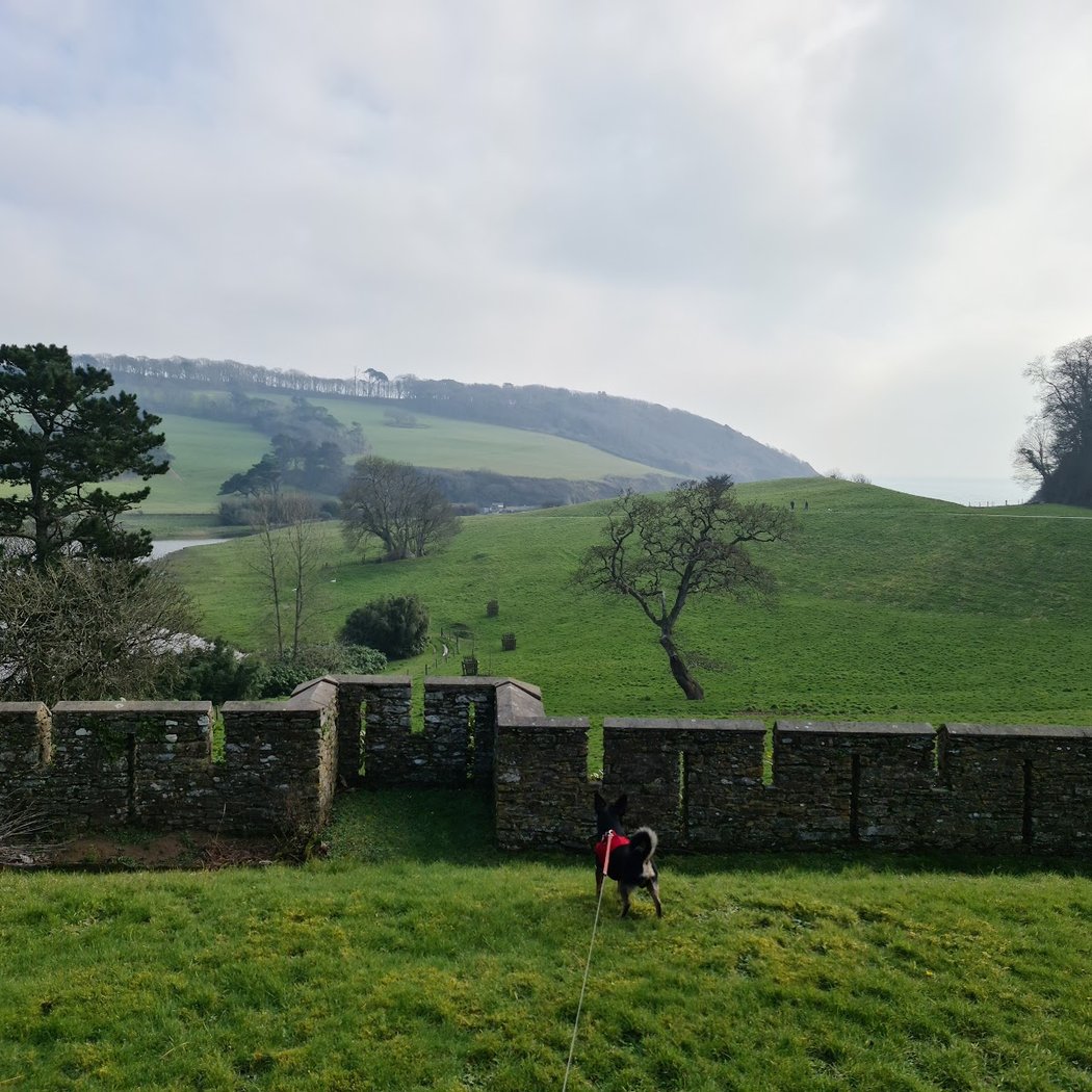Caerhays Castle 3
