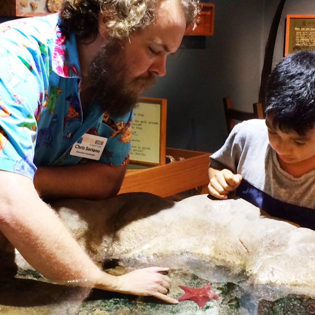 Free Admission Day at Santa Cruz Museum of Natural History 2