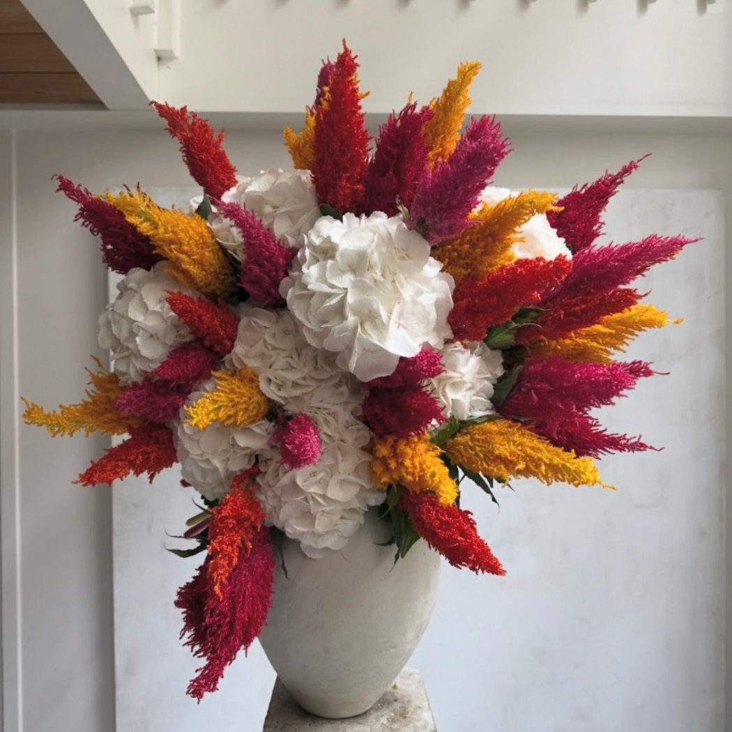 Castor-Fleuriste 5
