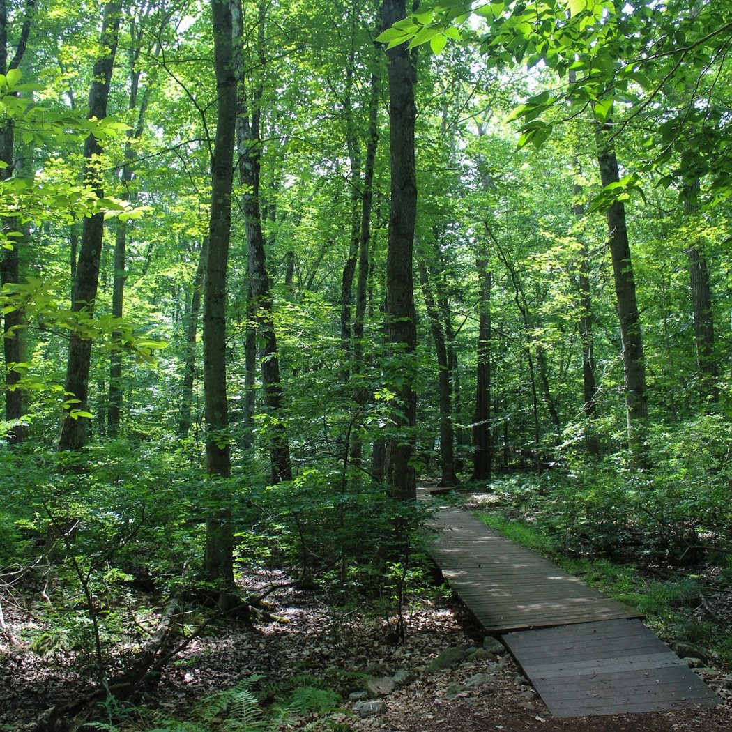Earthplace 3