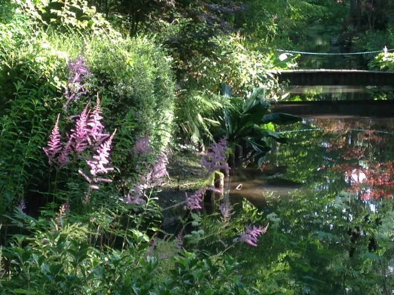 Arboretum d'Ilex garden 2