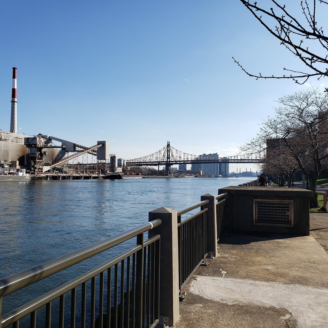 Saturday Strolls 2