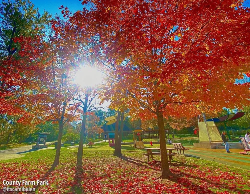 County Farm Park 1