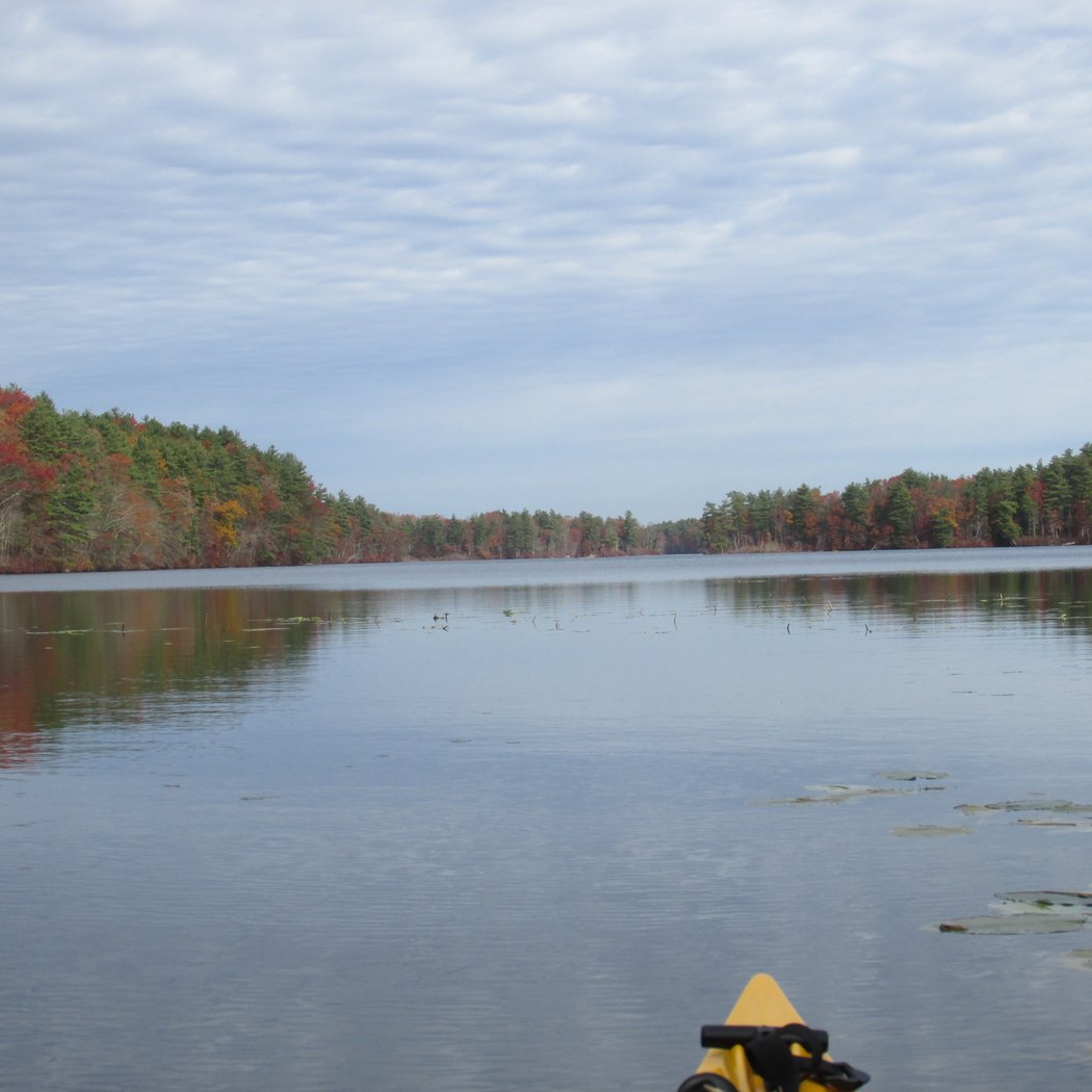 Adaptive Kayaking on Whitehall Reservoir 3