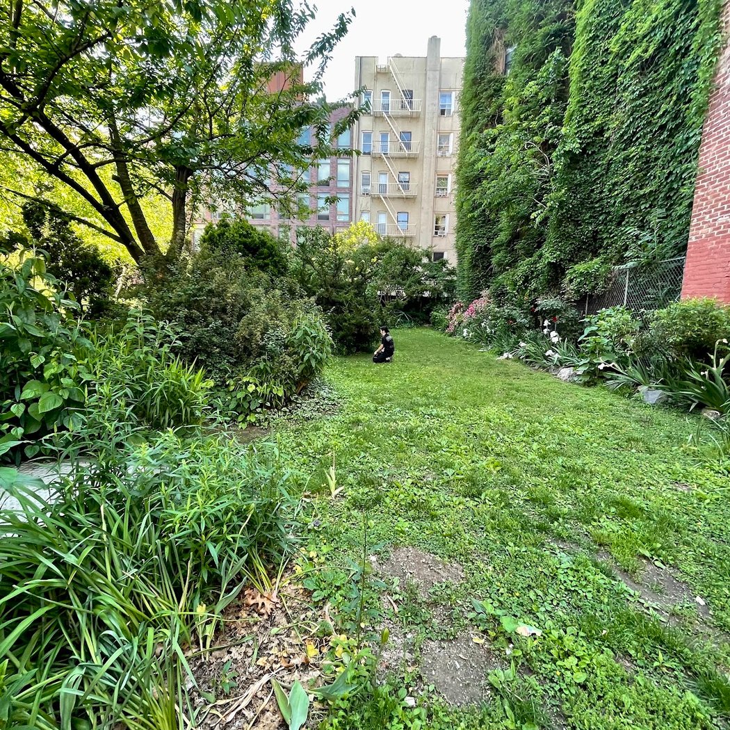 Orchard Alley 3