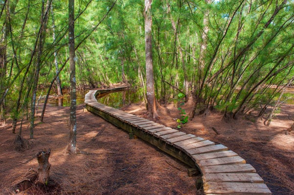 Free Guided Weekend Walk 1