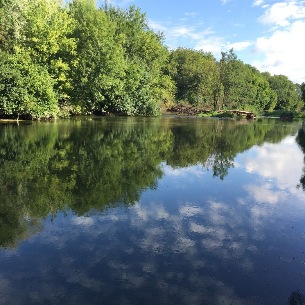 Espace naturel sensible du Lutin 1