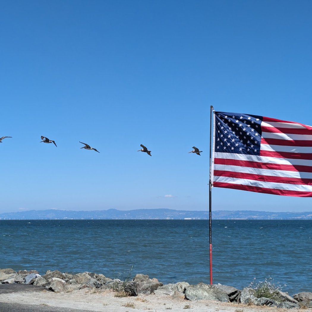 Bay Trail / Foster City 1