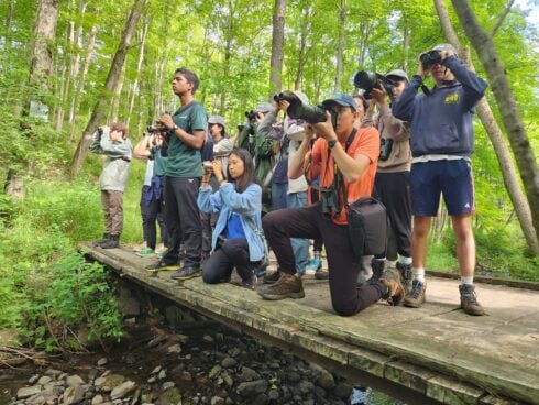 Young Birders: Novel Nightjars 1