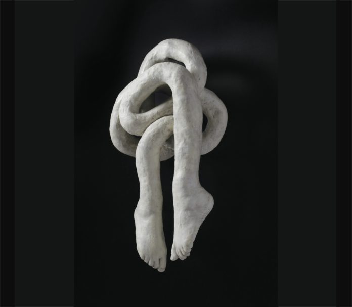 Phenotype 1