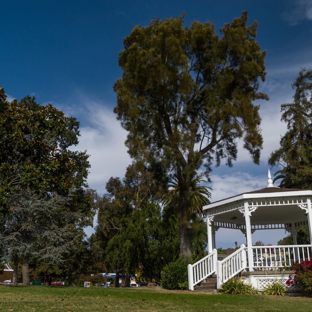 City Park 1