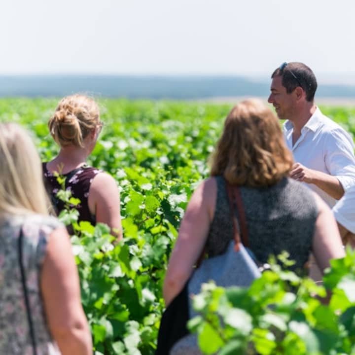 Excursion d'une journée en Bourgogne 2