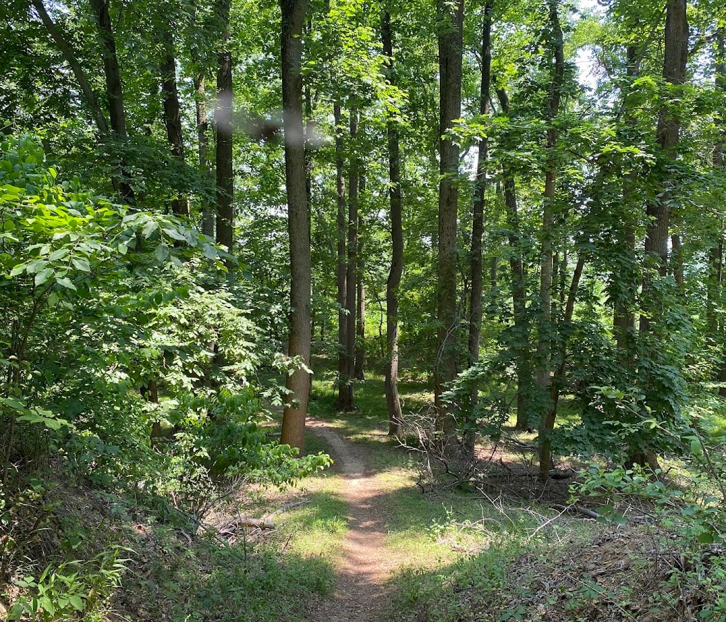 Rancocas State Park 2
