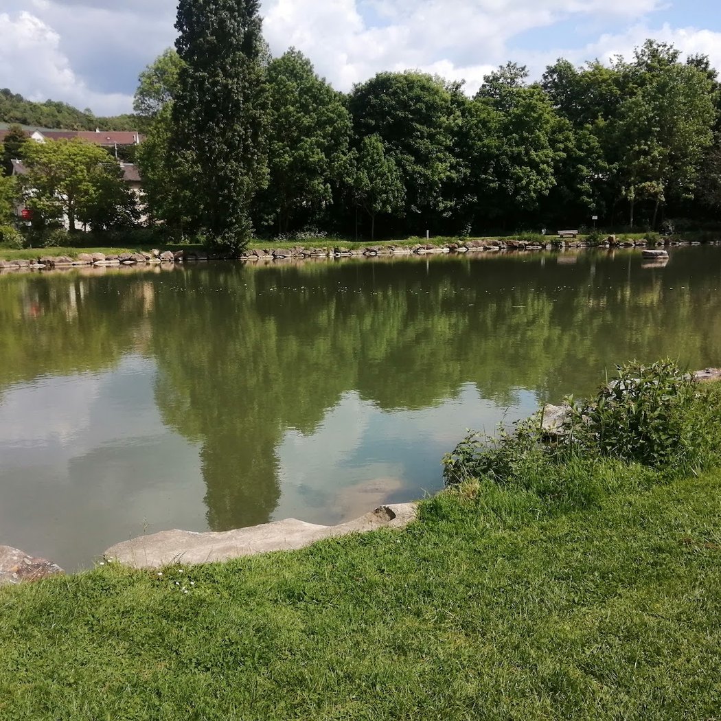 Parc de l'étang 1